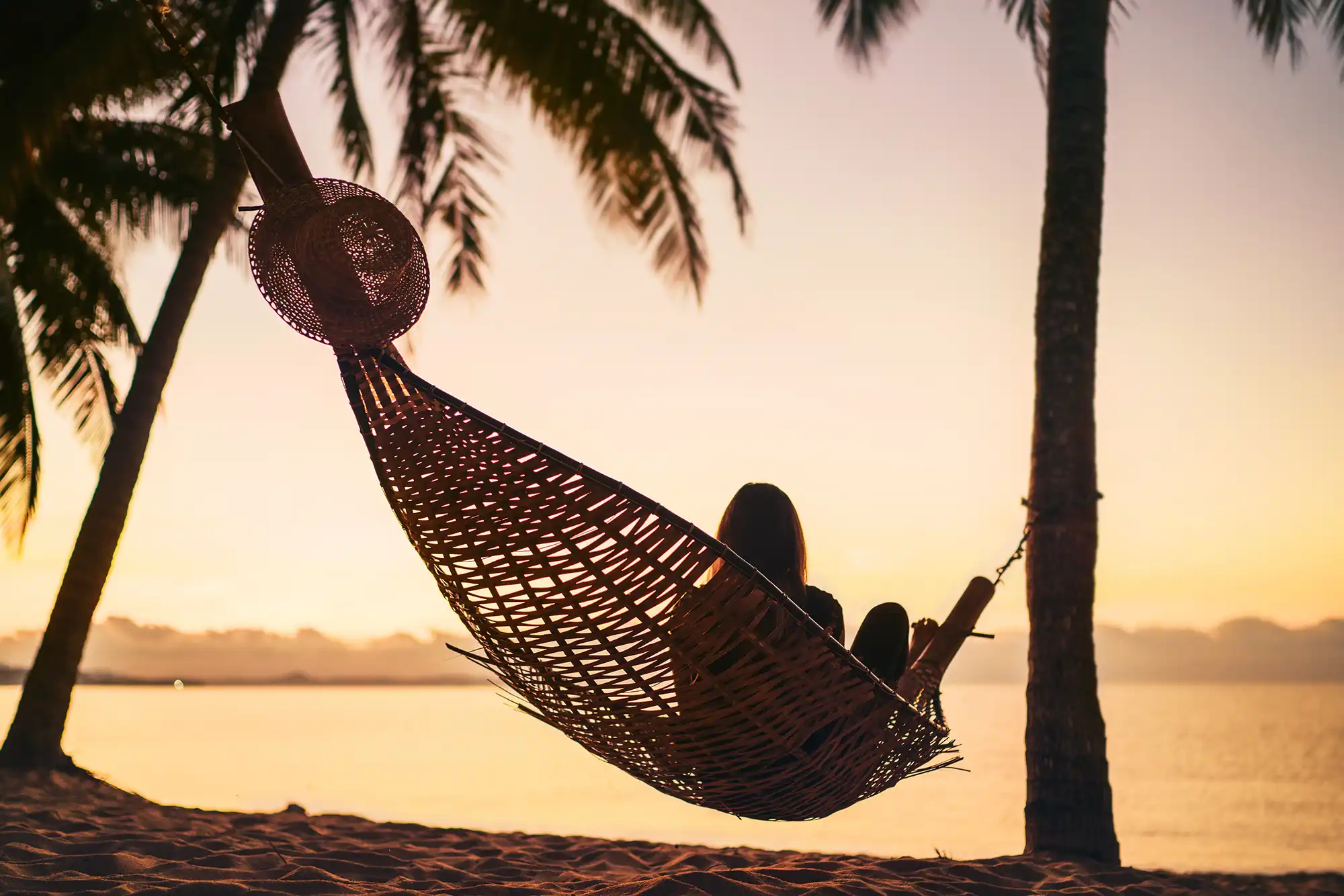 Vacation Packages